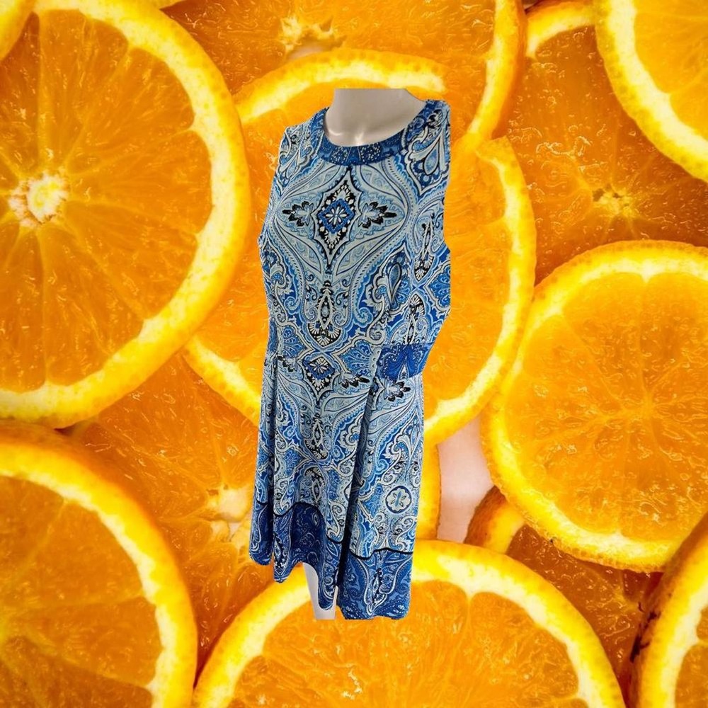 Chetta B Blue Paisley Sleeveless Dress Size‎ 10
